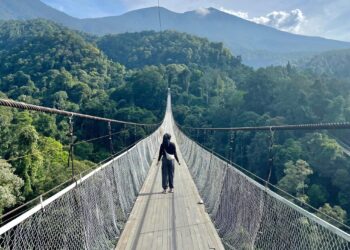 EKSPEDISI LEMBAH PURBA One Day Trip Rp 600.000