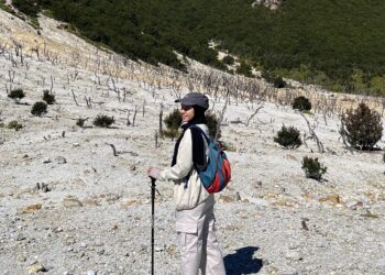 GUNUNG PAPANDAYANOne Day Trip Rp 450.000