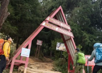 Jalur pendakian Gunung Prau via Patak Banteng
